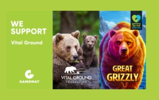 Gaming for the Climate Great Grizzly
