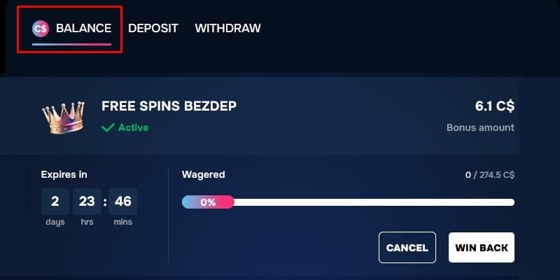 Balance Page