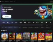 Hexabet Casino