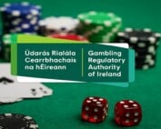 B2C Irish Licensing Application Guidelines