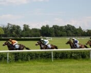 Labour’s Horse Racing Misfire