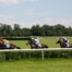 Labour’s Horse Racing Misfire