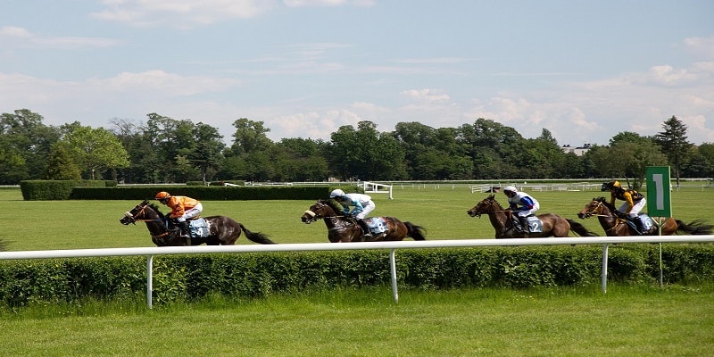 Labour’s Horse Racing Misfire Codemned by Racing authorities Labour’s Horse Racing Misfire Codemned by Racing authorities