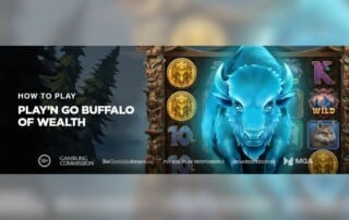 Play’n GO Buffalo of Wealth