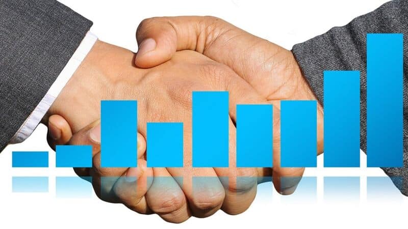 ZEAL Bilanz Halbjahr 2025
