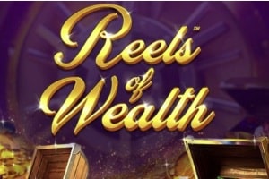 Reels of Wealth demo slot – Pay Both Ways payline online slot example
