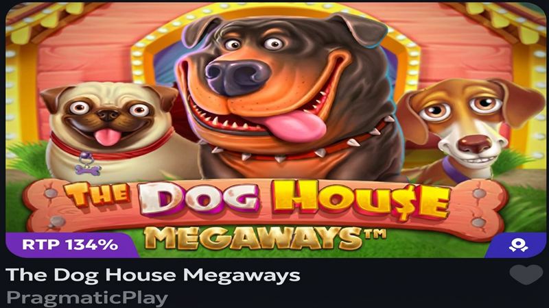 SpinMills Adventskalender 2025