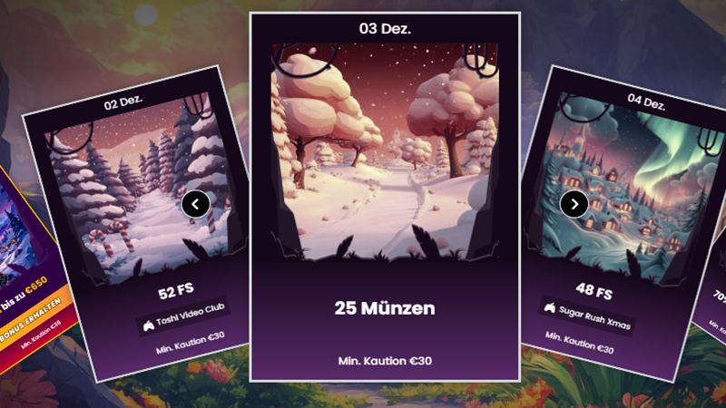 Wild Tokyo Adventskalender 2025