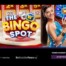 The Bingo Spot live casino game show by Pragmatic Play featuring bingo balls, live host, and colorful game board with 20,000x multiplier potential