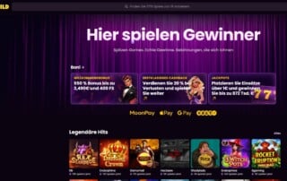 iwild casino logo