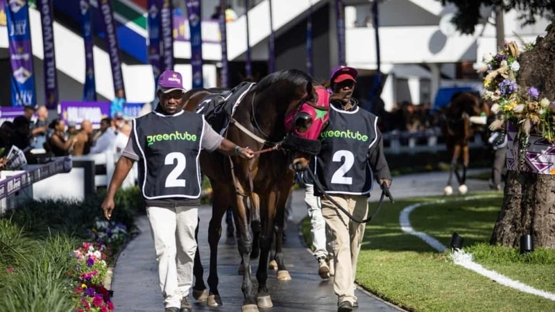 Teilnehmer des Hollywoodbets Durban July 2026 tragen Greentube Trikot.