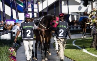 Teilnehmer des Hollywoodbets Durban July 2026 tragen Greentube Trikot.