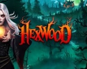 Titelbild des neuen Gamomat Hexwood Slot zeigt mystische Hexe im dunklen Wald.