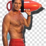 Hasselhoff681